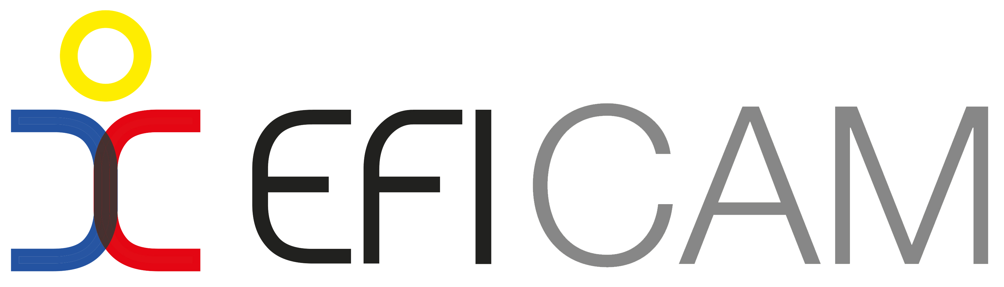 EFICAM-logo