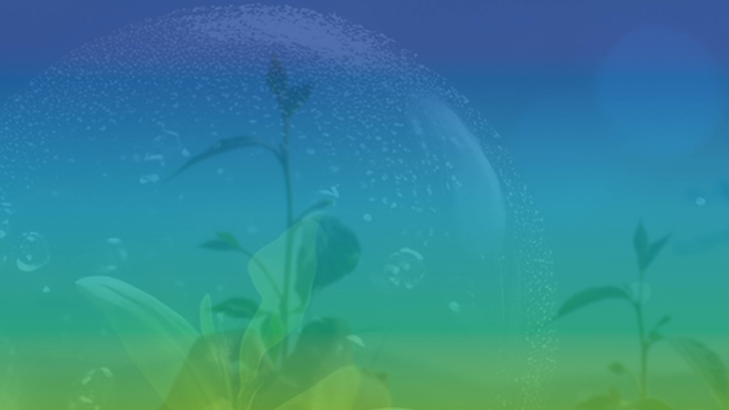 Jornada PORTUGAL OPORTO – Descarbonização de Instalações Térmicas: Soluções de Alta Eficiência