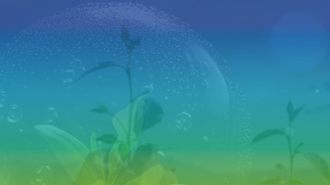 Jornada Sistemas Indirectos 2026